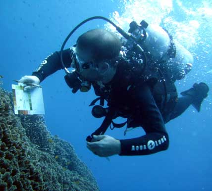 PADI eco specialties at Koh Phra Thong or in Similan Islands