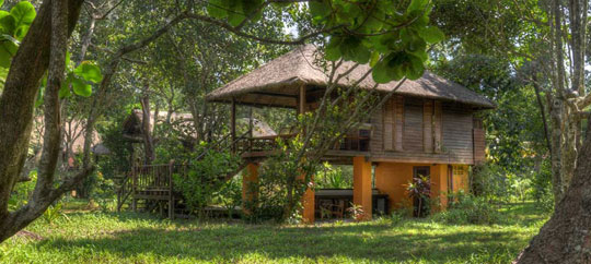 scuba diving vacations thailand